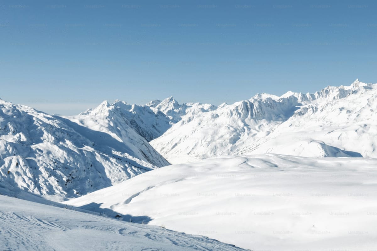 Borealis Basecamp photo 3
