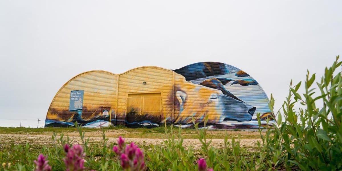 Churchill, Manitoba photo 2