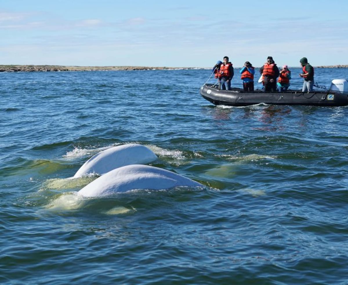 Churchill, Manitoba photo 3