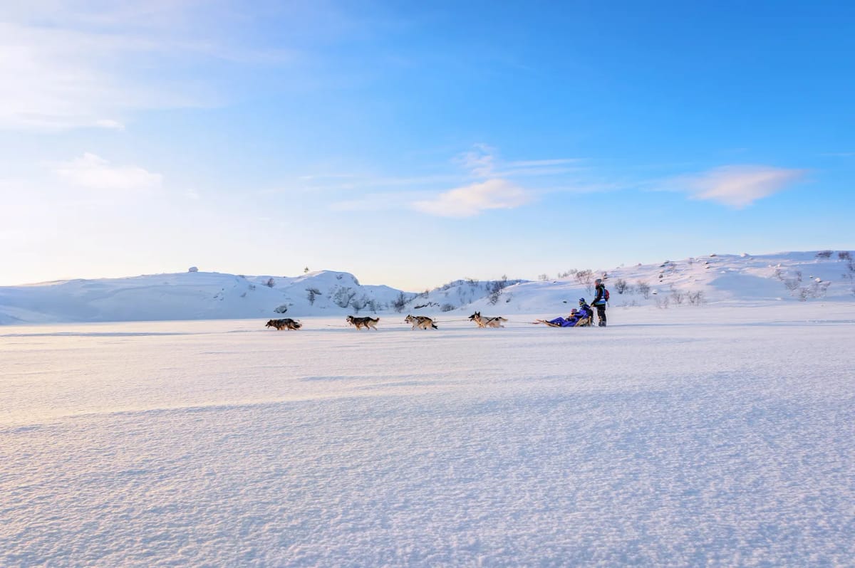 Kirkenes Snowhotel — aurora viewing