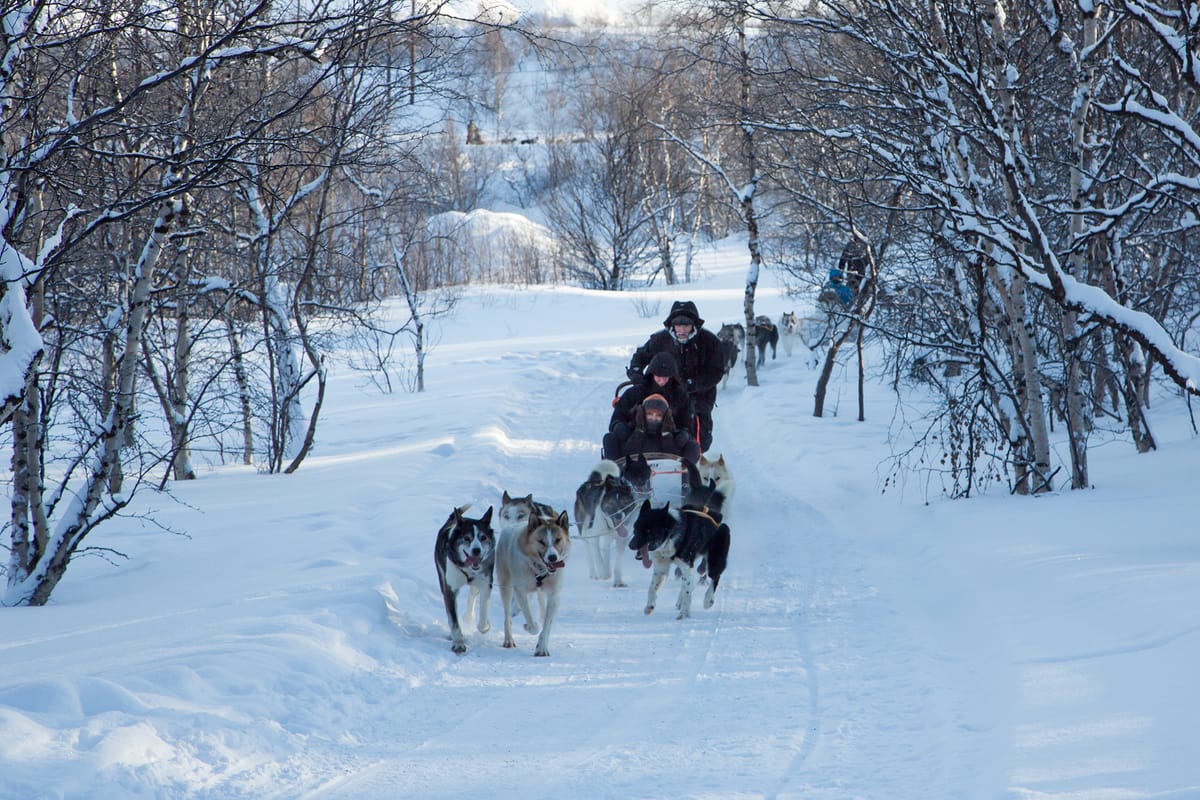 Kirkenes Snowhotel photo 5