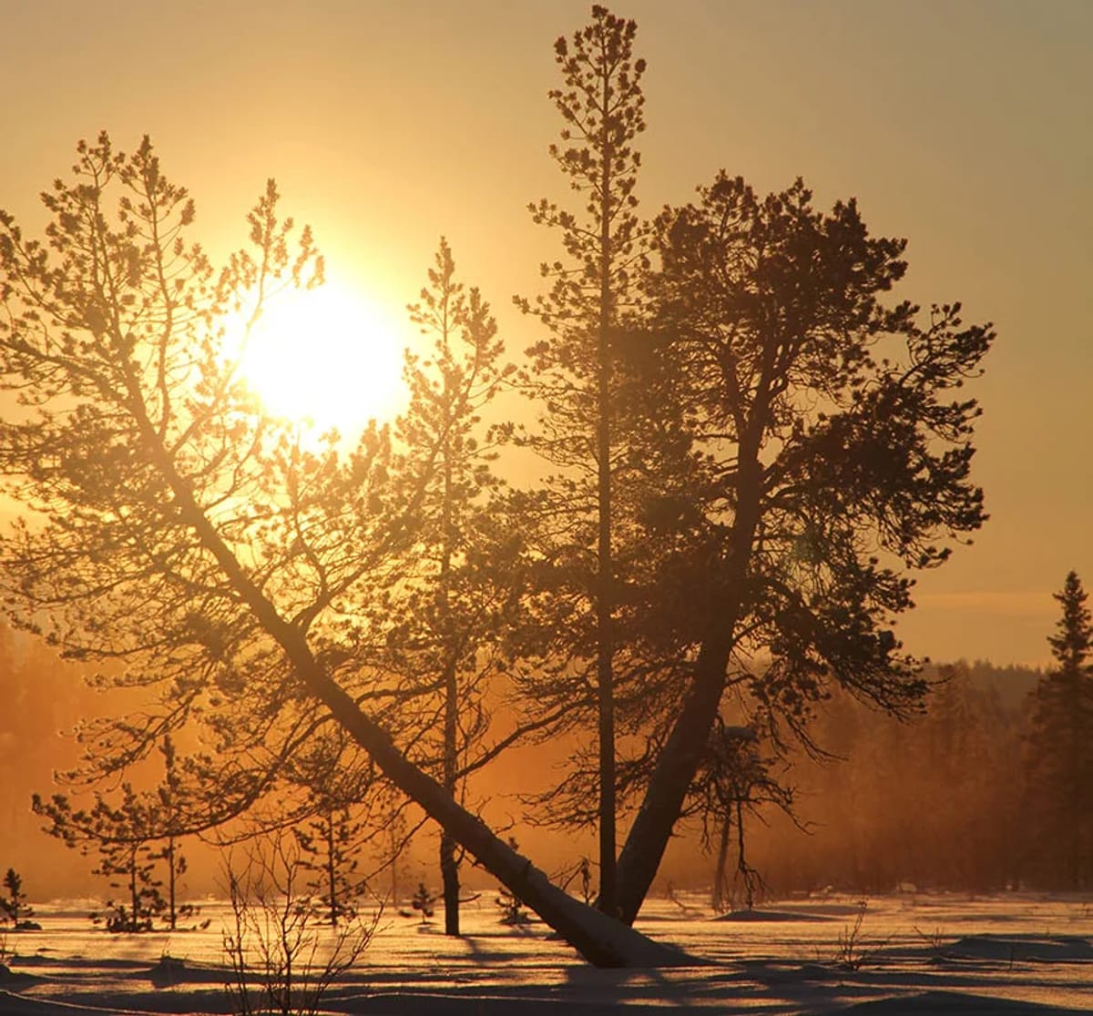Kiruna photo 2