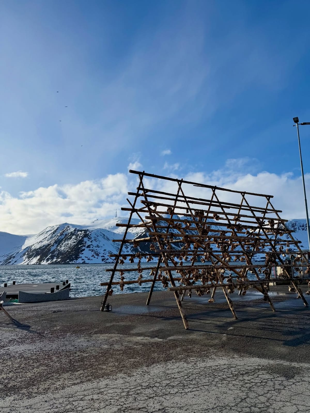 Arctic everyday life ⚓  #Honningsvåg #NorthNorway #ArcticLife #VisitNordkapp #ExploreMore