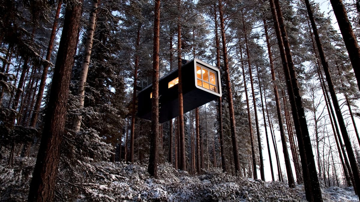 Treehotel — aurora viewing